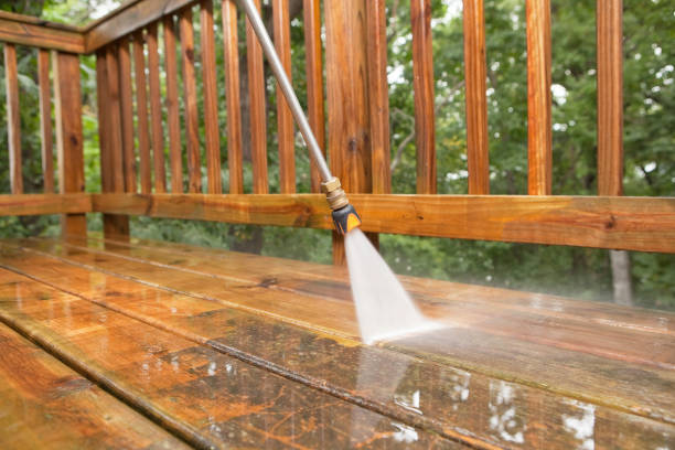 Best Solar Panel Cleaning  in Iona, FL